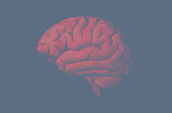 Введение в нейроэкономику: как мозг принимает решения