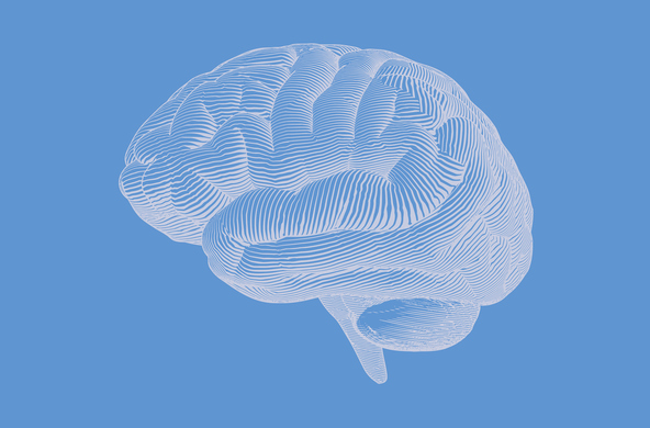 Нейробиология