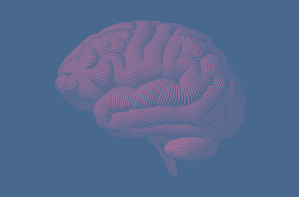 Когнитивные науки и технологии: от нейрона к познанию