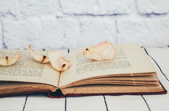 Art of soft skills: гибкие навыки для жизни и учебы