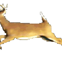 Фёдор Зима