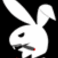 xbforte