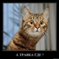 Рустам Юсупов