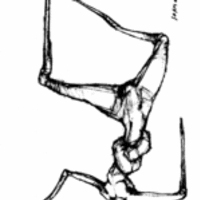 Cano-Rabiosso