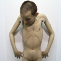 mikechek