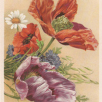 anechka