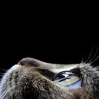 Кофе