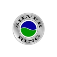 silver-ring