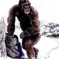 elu_yeti