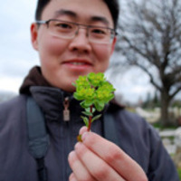 Alexandr Kim