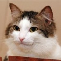 Герасименко Михаил