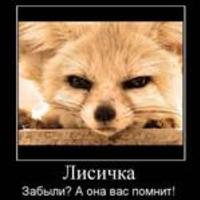 bestalach