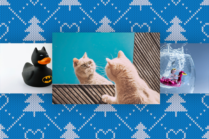 Любимые материалы редакторов 2021: Новогодняя подборка от Саши Любимые материалы редакторов 2021: Новогодняя подборка от Саши