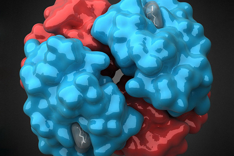 Сиди и смотри