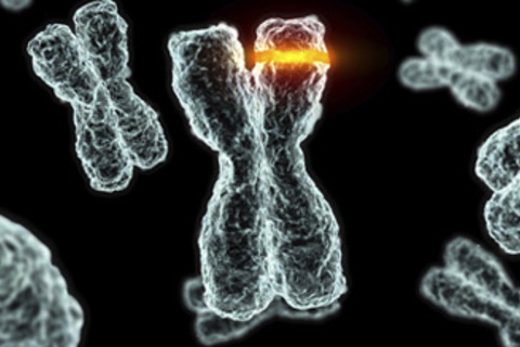 Генная терапия 