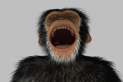 Книги про генетику и эволюцию Книги про генетику и эволюцию