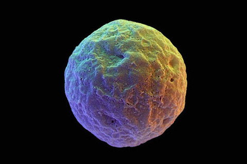 *Чего ждать* от науки в ближайшие 50 лет *Чего ждать* от науки в ближайшие 50 лет