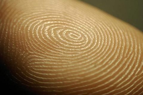 *Wikileaks* добрались до науки