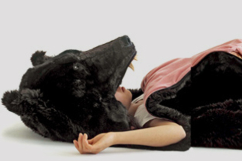 Активация гибернации или как *черные медведи могут* так долго спать? Активация гибернации или как *черные медведи могут* так долго спать?