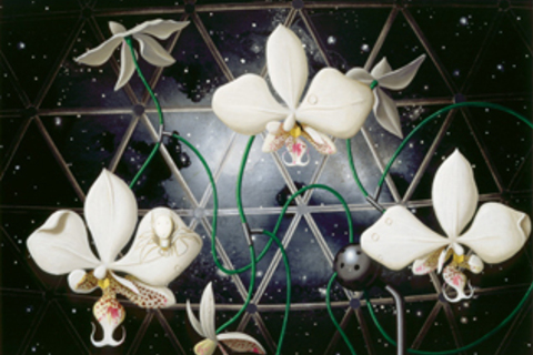 *Фестиваль популярной науки*: киборги, нейробиология и гениальные заблуждения