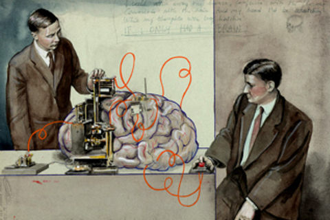 *Самые популярные видео про мозг:* сон, память и влияние генов на интеллект *Самые популярные видео про мозг:* сон, память и влияние генов на интеллект