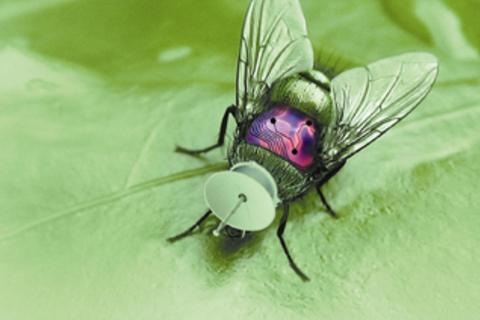 Фантастическое оружие, над *изобретением которого работают реальные ученые*