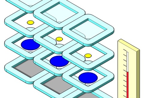 *Как работает хамелеон* и почему его весело злить