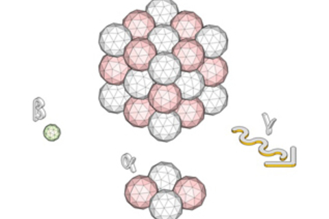 Сколько миллизивертов убивает человека или *что такое радиация*