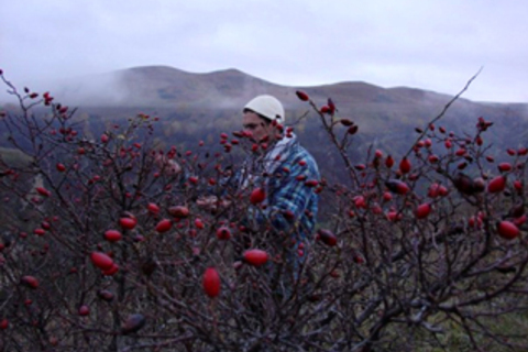 Яков Внуков: *«Моя мечта — построить за городом центр экспериментальной археологии»*