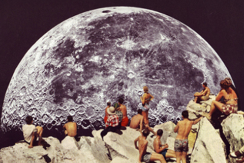 *Обзор грантов* за январь