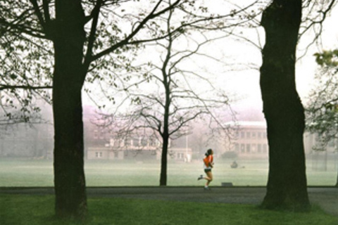 *Самые красивые кампусы* в мире *Самые красивые кампусы* в мире