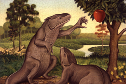 Синдром Докинза: *чем опасна теория разумного замысла?*