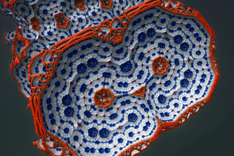 Наука на экспорт: *6 русских ученых, которые добились успеха за рубежом*