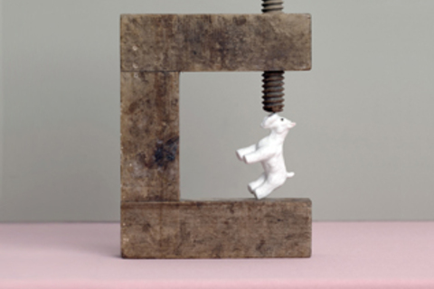 «Больше знаний — больше конфликтов»: *Клэй Ширки о том, чему политикам стоит научиться у программистов*