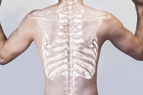 Зачем добру пропадать: как пожертвовать свое тело науке Зачем добру пропадать: как пожертвовать свое тело науке