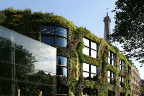 «Нужно проработать 10 лет, чтобы освоиться в профессии»: *французские архитекторы рассказывают, каким должно быть образование* «Нужно проработать 10 лет, чтобы освоиться в профессии»: *французские архитекторы рассказывают, каким должно быть образование*