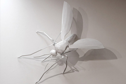 Новые научные открытия: *искуственная кожа, изгои и древнейший комар* Новые научные открытия: *искуственная кожа, изгои и древнейший комар*