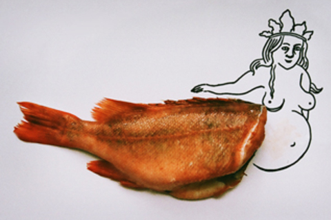 Диалектика рыбы: *зависть к животным, образ монстра и необходимость революции*