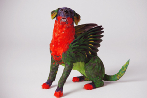 *«Приматы остро чувствуют справедливость»:* Франс де Ваал о нравственности животных