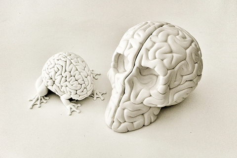 *«Когда-то люди вкладывали усилия в развитие памяти»:* Джошуа Фоер о том, как ничего не забыть *«Когда-то люди вкладывали усилия в развитие памяти»:* Джошуа Фоер о том, как ничего не забыть