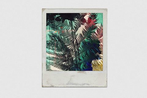 Где находится сознание: *история вопроса и перспективы поиска*