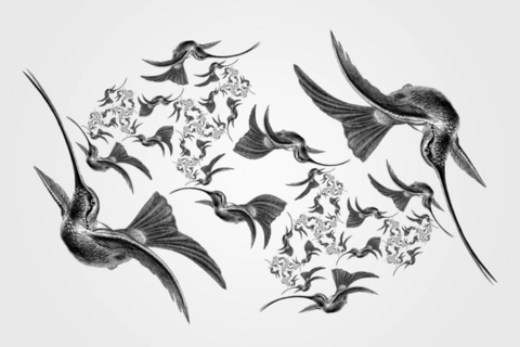 *«Рекурсия помогает превратить непролазные джунгли в ухоженные французские сады»:* Дэвид Гелернтер о том, как математика может изменить культуру *«Рекурсия помогает превратить непролазные джунгли в ухоженные французские сады»:* Дэвид Гелернтер о том, как математика может изменить культуру