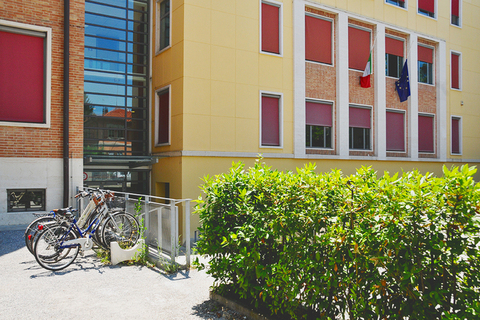 Письмо №106, *из магистратуры Болонского университета*