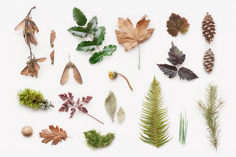 7 детских биошкол: *куда отправить ребенка изучать окружающий мир*