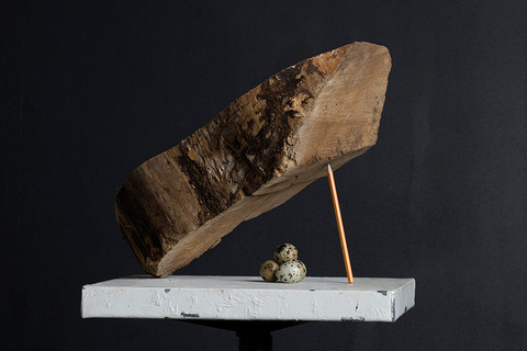 *«Ежегодно мы тратим 200 миллиардов долларов на неверные прогнозы»:* Герд Гигеренцер о рисковой грамотности