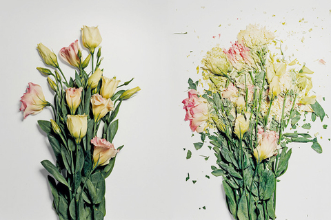 Гуманизм и забота о себе: *дискуссии о самоубийстве в литературе и философии*