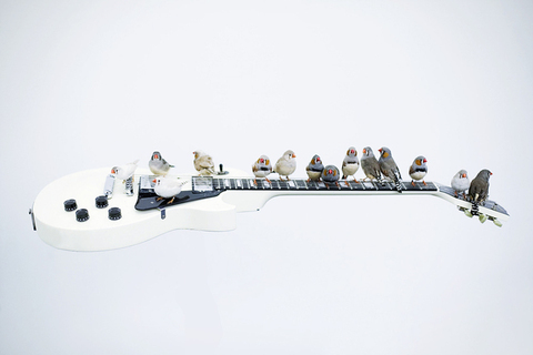 *Звуковое сопровождение:* 12 альбомов, 6 радиостанций и 3 музыкальных микса для создания рабочей атмосферы