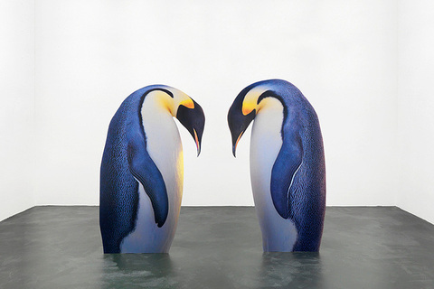 *«Нет развитой культуры без языка, как и развитого языка без культуры»:* интервью с лингвистом Дэниэлом Эвереттом