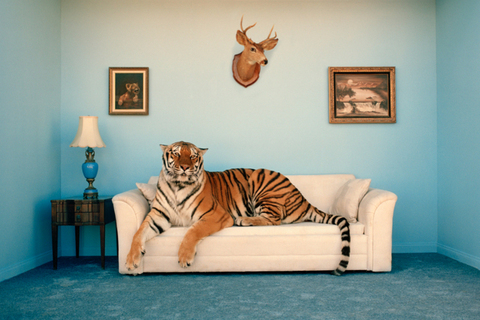 *«Вопиющие предрассудки — вообще знак нашего времени»:* Уит Стиллман о высшем обществе *«Вопиющие предрассудки — вообще знак нашего времени»:* Уит Стиллман о высшем обществе