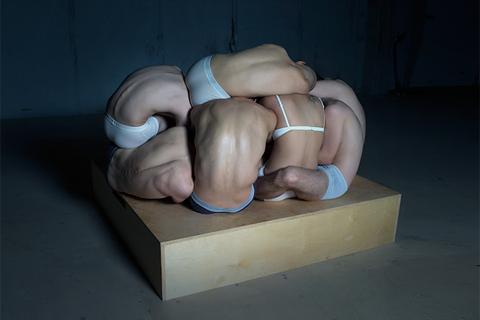 *Тело под взглядом теории:* антропология, философия, психоанализ